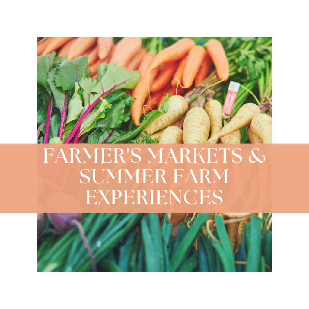 farm fun in myrtle beach